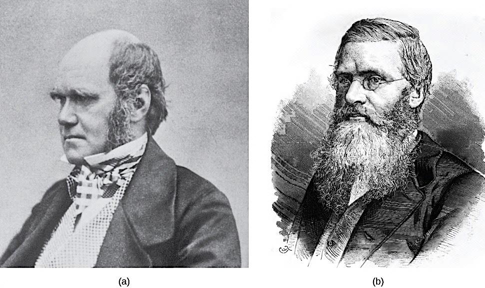 (a) Charles Darwin and (b) Alfred Wallace wrote scientific papers on natural