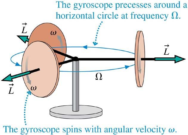 Advanced Topic: Precession of a Gyroscope Consider a horizontal gyroscope, with the disk spinning in a vertical plane, that is supported at only one end of its axle, as shown.