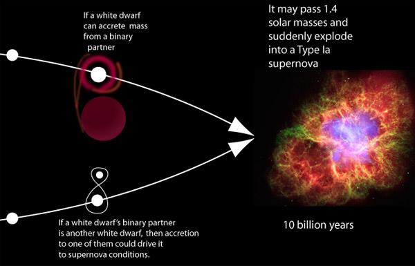 The cosmological distance ladder Type Ia supernovae and the highest rung of the ladder Type Ia supernovae 17 Type Ia supernovae are produced when material accrete on to a white dwarf from an evolving