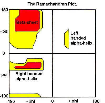 Ramachandran plot Only certain combinations of values of
