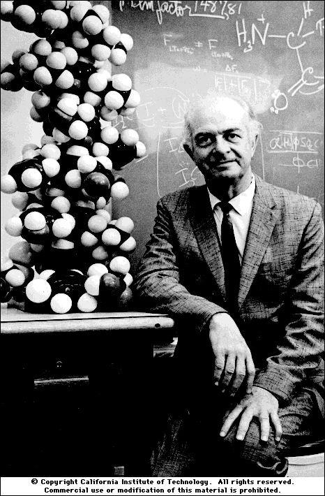 Linus Pauling (1951) Atomic Coordinates and Structure Factors