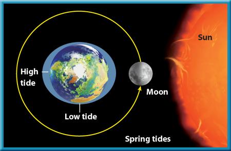 LESSON 5: TIDES Tide = rise & fall of the ocean water SPRING TIDE -largest