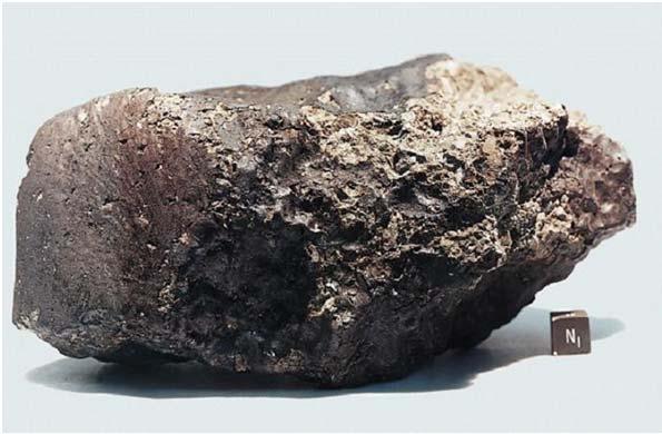 ALH 84001 The Martian Meteorite Meteorites Rocks from space which fall to Earth