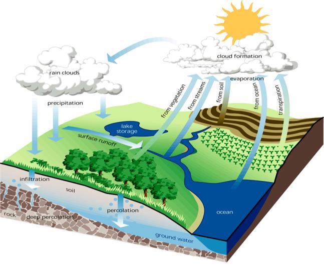 Systems in Science The Hydrologic Cycle Closed System