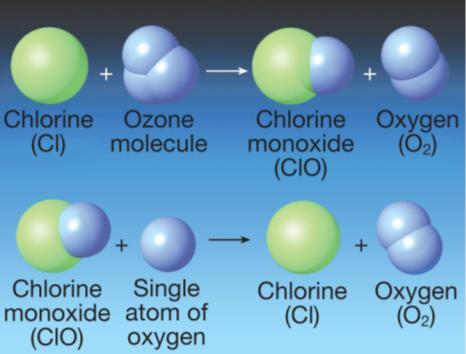 Ozone in the Stratosphere Ozone in the Stratosphere In 1987 the United Nations, led by the United States, held an international meeting to address head on the growing problem of the loss of