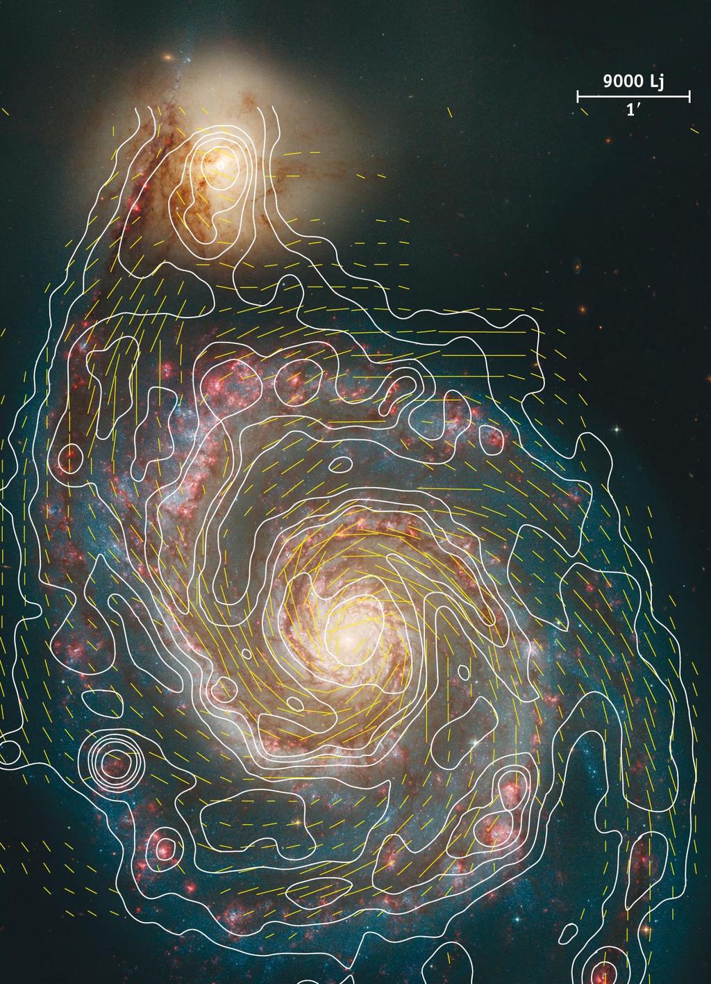 MAGNETIC FIELDS IN SPIRAL