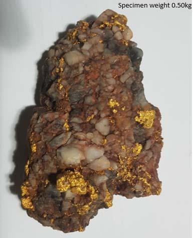 Figure 7 Blue Moon Quartz vein specimen showing gold veining. Background - Impact of High Grade Gold Targets De Grey recently reported a significant resource upgrade to 1.