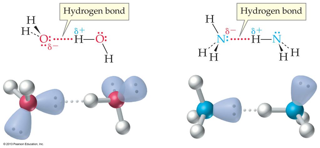 Hydrogen Bonding The hydrogen bond occurs between: 1) lone pairs on