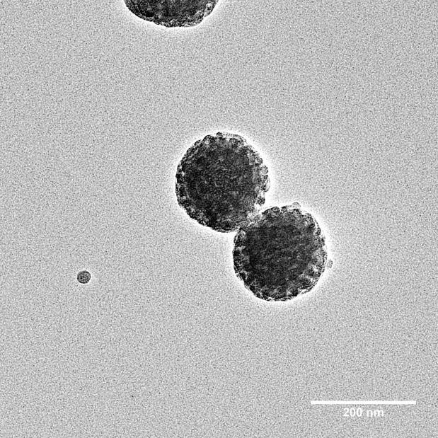 The sample was stained with RuO 4 vapor at room temperature for 20 min. Figure S9. Top-view, bright field TEM micrograph of MB-MW-2 (PtBA M n = 18.