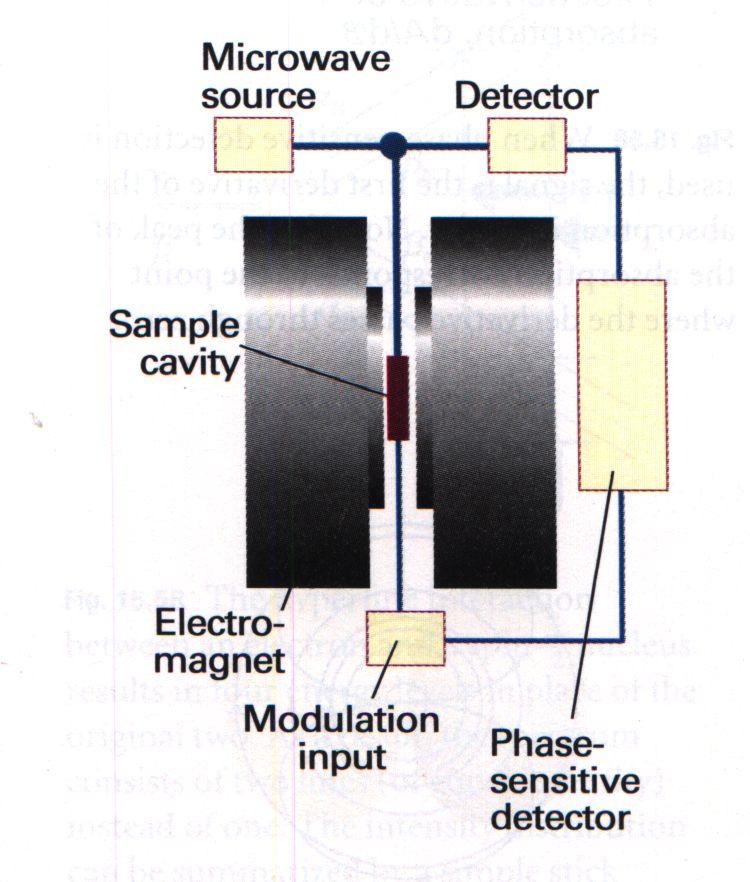 4.7.6 EPR spectrometer Microwave source: klistron, of gun diode Detector: detector sensitive for phase detection Sample cavity: