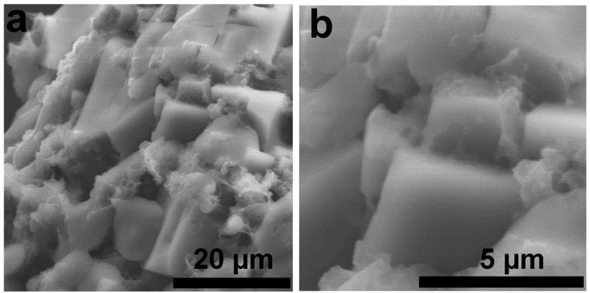 Supplementary Figure 3 SEM images of the 3D NaCl Na 2 S@GC. (a) At a low magnification and (b) at a high magnification.