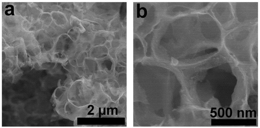 Supplementary Figure 4 SEM images of pure 3D PGC. (a) At a low magnification and (b) at a high magnification.