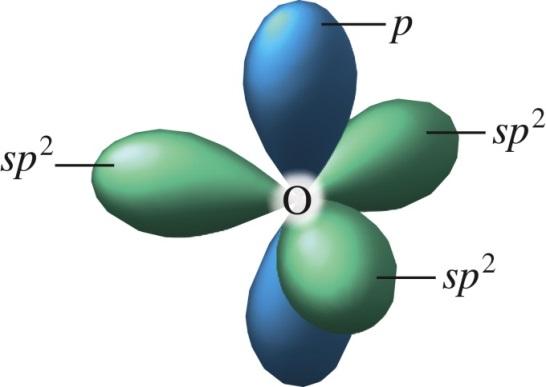 Determine the hybridization of each atom, overlap
