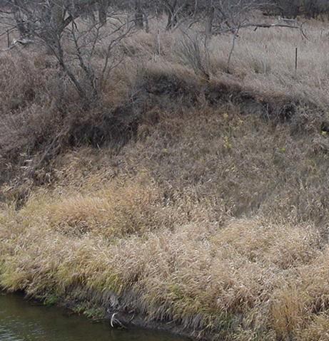 GAGE HEIGHT, IN METERS Stream-flow measurements were also analyzed for the Souris River near Sherwood, ND in Ecoregion 46.