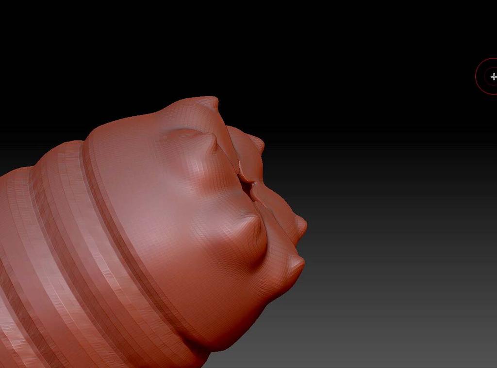 3D model of the head