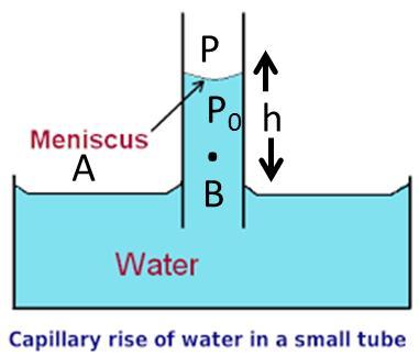 Consider a vertical capillary tube of circular cross section (radius a) inserted into an open vessel of water (Fig.). The contact angle between water and glass is acute.