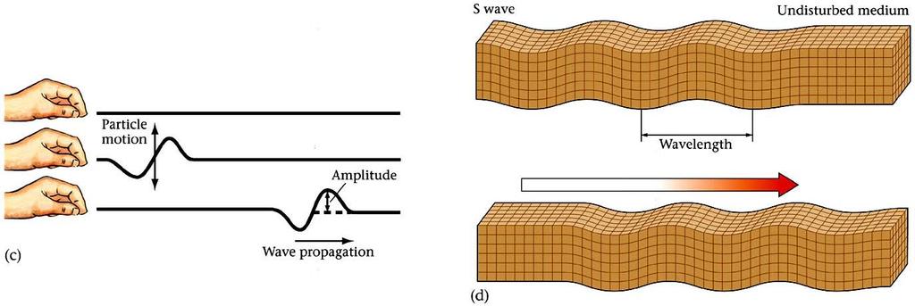 Basic Wave Types 2 nd Way: Based on how particles are moved by the wave / how the wave causes the material it is traveling through to deform Compressional (Transverse) waves