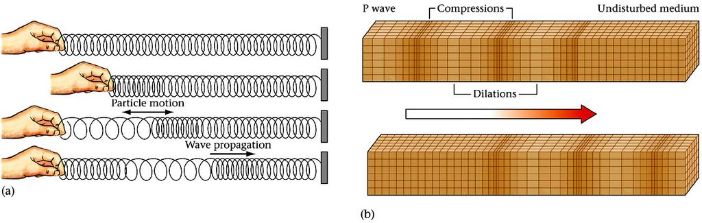 Basic Wave Types 2 nd Way: Based on how particles are moved by the wave / how the wave causes the material it is traveling through to deform Compressional (Transverse) waves motion of