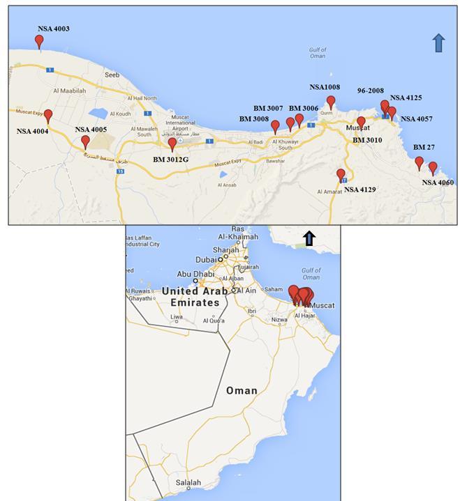 Figure 4: Locations of 15 control stations (source: Google maps, 2014) 2.