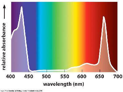Hgher energy Longer wavelength Lower energy