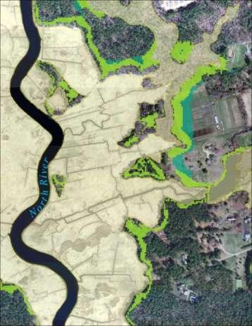 Area (Hectares) Potential Upland Marsh Migration w/in 100 ft Buffer South Shore 2030-2100 Intermediate High SLR Scenario