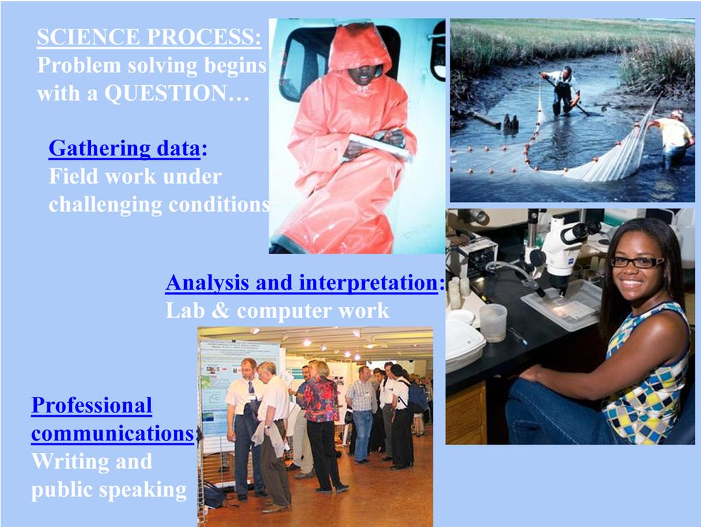 To understand what a marine scientist (or oceanographer) does, we have to first think of what all scientists do We ask questions. Scientists want to understand the world around them.