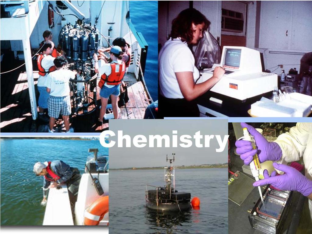 Chemical oceanographers study the seawater itself and how it varies from the surface to deep ocean, with seasons and in different locations on the globe.