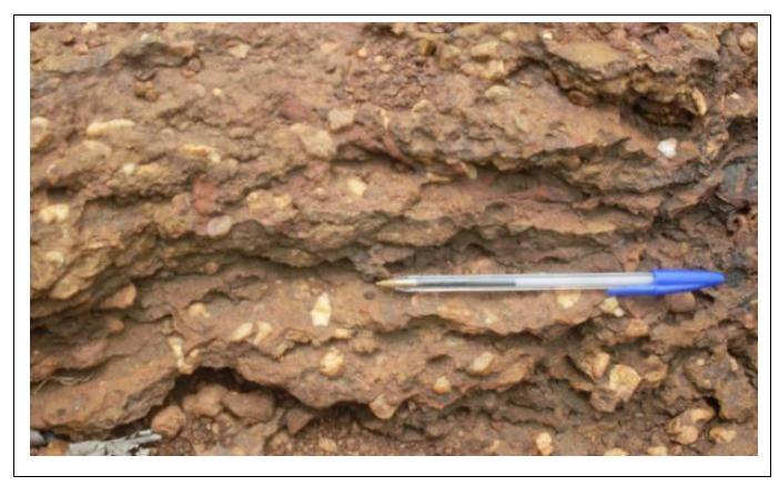 Transported laterite or ferricrete: Fe oxide-cemented colluvial and alluvial sediments Random distribution of Gold.