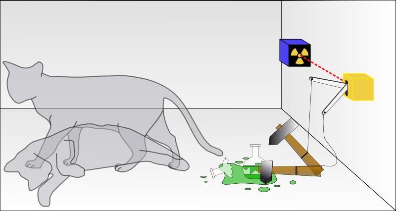 Poor kitty! If a random radioactive decay happens, poison is released and the cat dies!