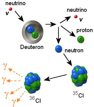 Neutrino Reactions On Deuterium Electron neutrinos only: e + d 2p + ethere are two possible reactions for solar neutrinos on deuterium.
