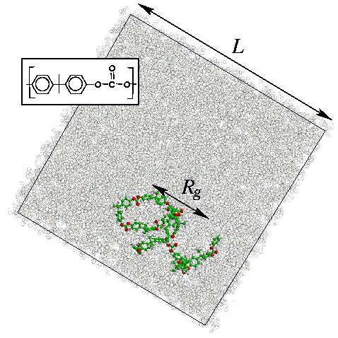 The Tension Between Specificity and Generality in Polymer Molecular Simulation Bead-Spring Chains: Bonded and nonbonded degrees of freedom: