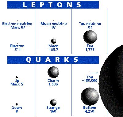 Top is a very special Quark!