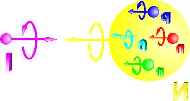 HERMES: What makes the Proton spin?