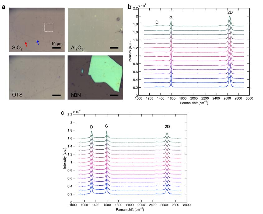 CVD graphene sample characterization: optical images and Raman spectra The graphene used in this work was grown by chemical vapour deposition (CVD) on Cu foils.
