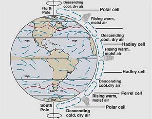 temperature and direction of ocean currents influences