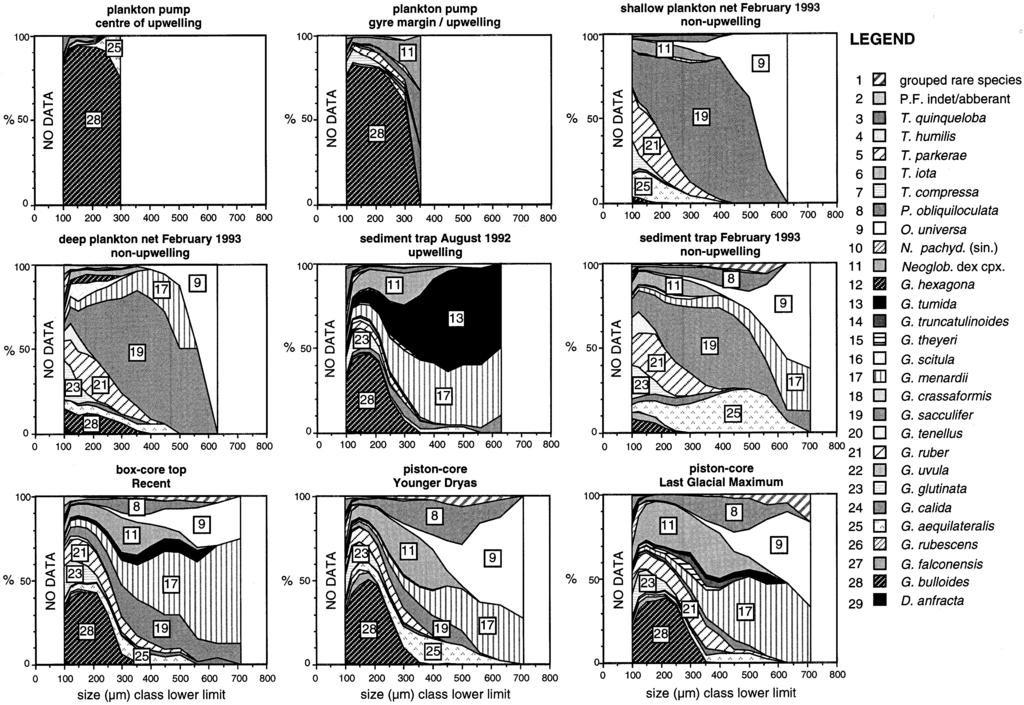 Fig. 11. Cumulative relative abundance of species across the size spectrum in surface water (top row), deep water (middle row) and sediment (base row).