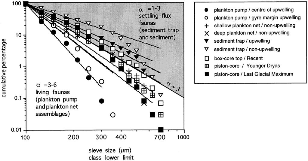 F. Peeters et al. / Marine Micropaleontology 36 (1999) 31 63 57 Fig. 13. Graph showing cumulative percentage of the total fauna larger than 100 µm against size.