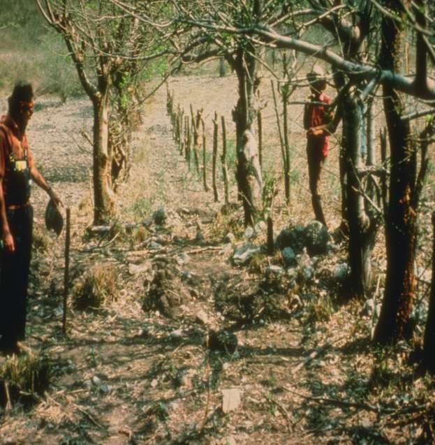 Landshift #8 Motagua, Guatemala February 4, 1976
