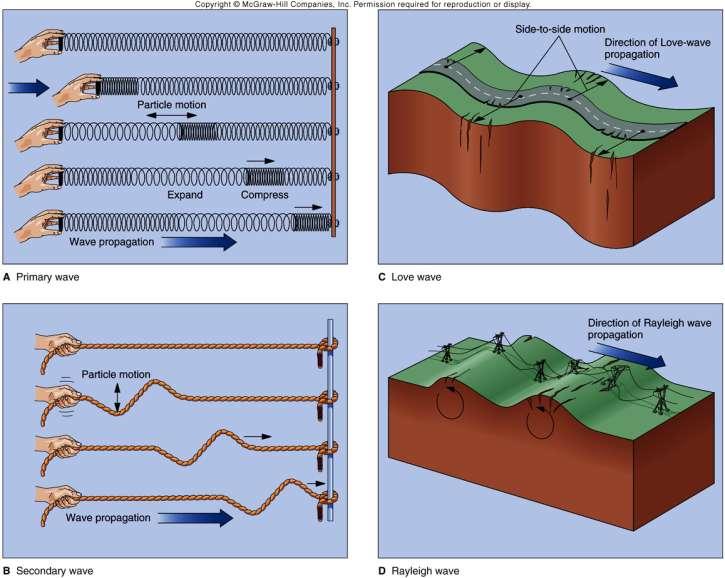 Seismic Wave Types