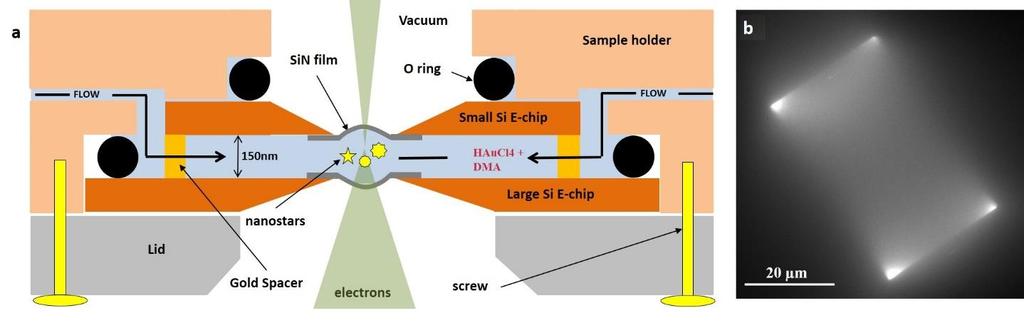 Figure S1. (a) Schematic cross-section view of the liquid cell in the JEOL ARM microscope.