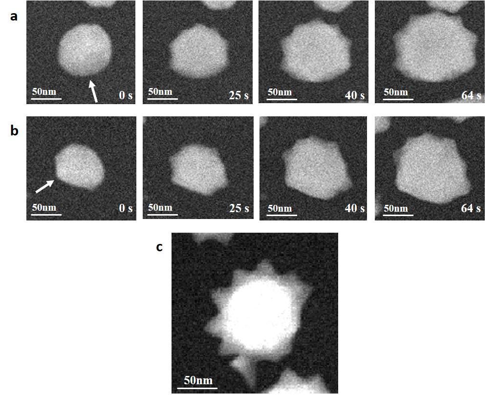 Figure S3. Formation of asymmetric NSs on seeds with deformed morphologies (a & b) Time series of STEM-HAADF images acquired in methanol with a DMA concentration of 0.06 mm and d = 0.