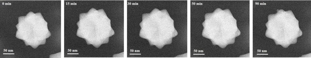 Figure S7. Stability of a NS formed in methanol with DMA concentration of 0.2mM. Series of in situ STEM HAADF images acquired in the growth media after the formation of the NS.