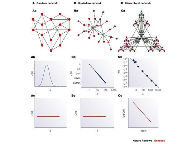 Different types of Complex Networks Degree