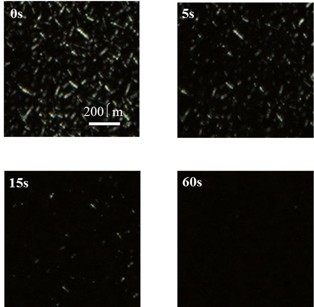 Photo-crosslinkable liquid-crystalline azo-polymer for surface relief gratings and persistent fixation. New J. Chem. 2009, 33, 343-348. 2. Isayama, J.