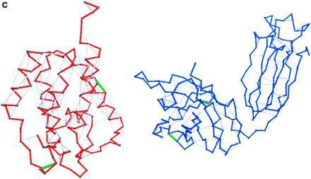 Antibody binding to HIV protease The HIV protease