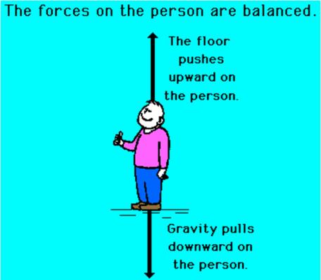 TP: What is gravity 806 11/2/11 Do Now: What are the 2 factors that influence the force of gravity Homework: Complete the Worksheet on Gravity!