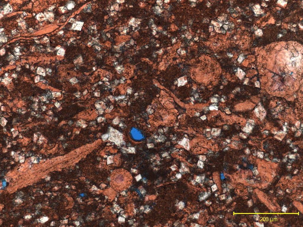 Figure 12 Thin section number three from the well Midale at al Alameda 121/10-16-004-03W2M using full diameter sample ten b from the interval 1343.96 to 1344.13mKB.