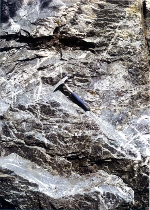 Figure 13 Mudd Pond Quartzite.