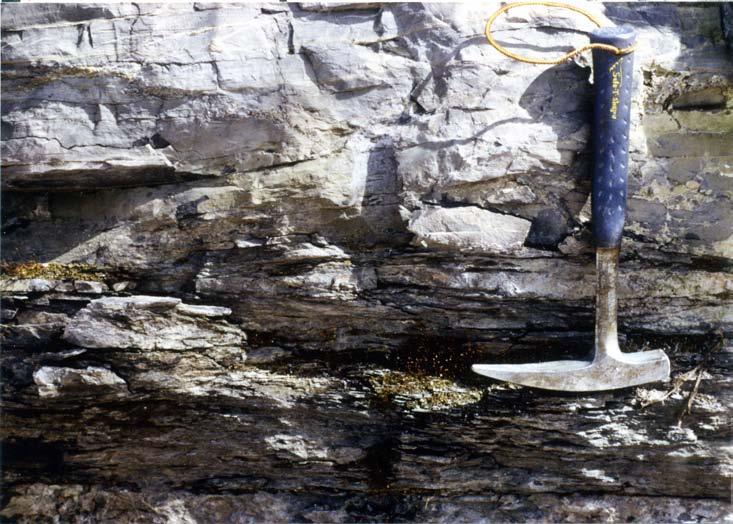 Figure 15 Whitish-weathering Browns Pond slate interbedded with finely