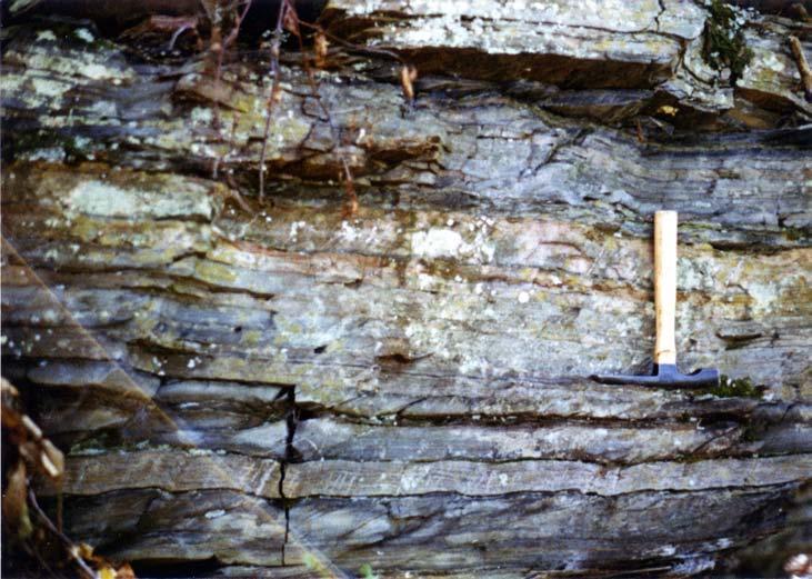 Figure 21 Bedding in the Hatch Hill Formation.